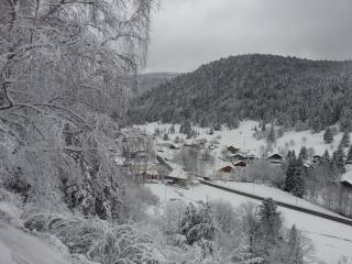 Le Valmandine - La Bresse - 2