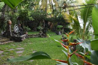 The Mayan Grouper - Suchitoto - 2