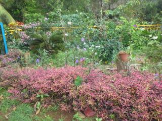 chez Manu - Le Robert - 8