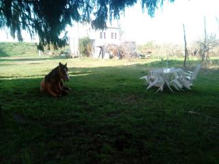 B&B DE CAROL - Gramignazzo - 4