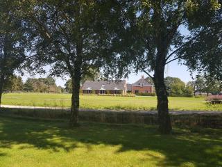 B&B De Veluwe Hoeve - Eerbeek - 9