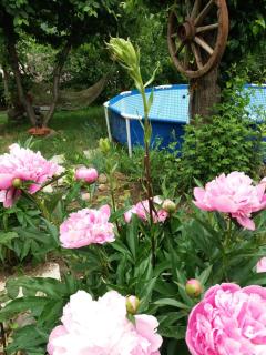 SUNNY SWEET HOME - Dilijan - 8