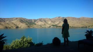 Port Levy B & B Christchurch - Port Levy - 0
