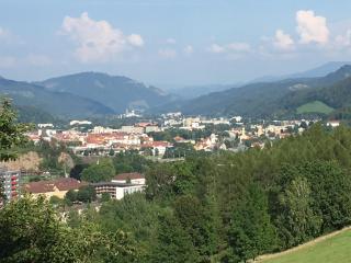 Privatzimmer Wagner - Leoben - 8