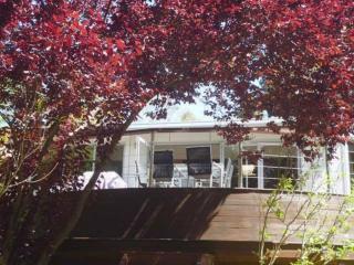 Kingfisher - Pet Friendly - Margaret River - Margaret River - 6