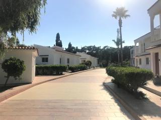 Fig Tree Z Holiday Resort - 8