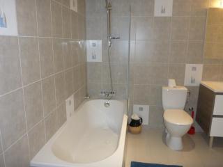 Montagne Noire Apartment Saissac - Saissac - 3