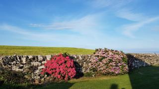 31 Laigh Isle - 7