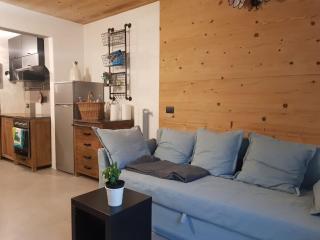 Milla Appartamento 4-6 letti - Pontagna -1km Ponte di Legno T04416 - Villa Dalegno - 0