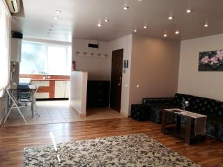 Apartament Laurentiu - etaj.1 - Bucharest - 1