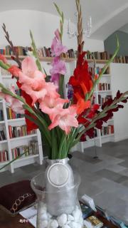 Apartments in Villa Crusca - Bad Bleiberg - 1