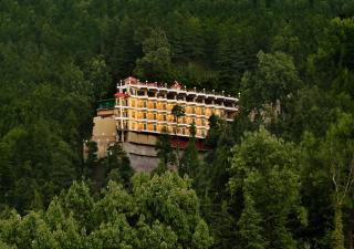 JK Clarks Exotica - Dalhousie - 0