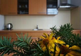 Green House - Palanga - 9