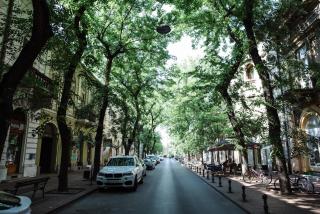 Apartman Donner Centar IV - Subotica - 8