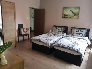 Luxury Modern Apartments - Baia Mare - 4