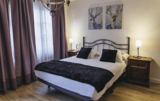 Hotel La Portilla - Niembro - 6