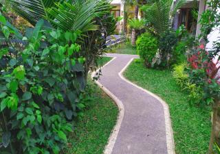 Swan Inn - Ubud - 4