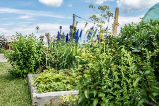 Nowe Miejsce Brzegi - 3