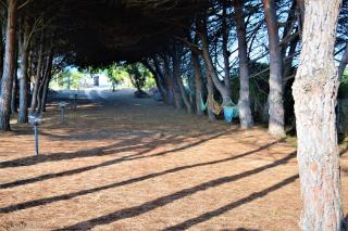 Pineta Spiaggia Grande 2 - SantʼAntìoco - 7