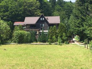 The Nest - Sinaia - 8