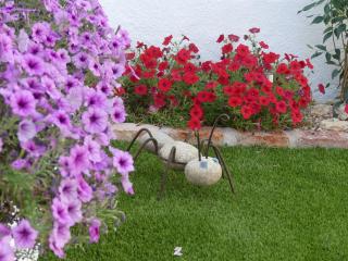 Casa Rural Julio Vegas - Santiago del Campo - 9