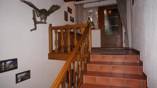 St. Hubertus - 7