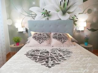 Ático BELLAVISTA con visita a bodega y cata de vinos 4 habitaciones dobles 2 baños completos - 2