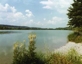 Gasthof zum Kirchenwirt - 5