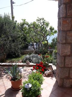 Apartman Grospic 2 - Cesarica - 6