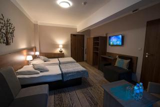 Hotel EUROPA - Górnicza Strzecha - Szklarska Poręba - 1