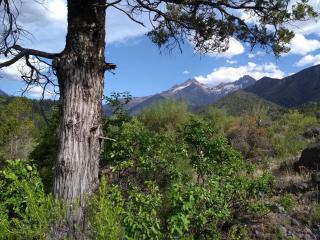 Rincon del Montañes - Antuco - 8