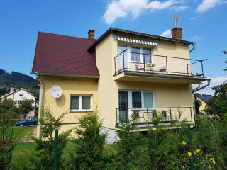 Apartment Věra - Lipova Lazne - 8