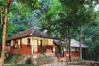 Vythiri Resort - Vythiri - 3