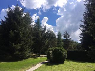 Vila Mura - Topliţa - 1