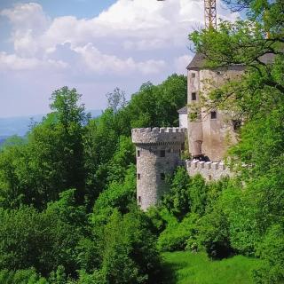 Burg Plankenstein - Texing - 5