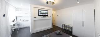 Great Studio near the Pechersk - Kyiv - 6