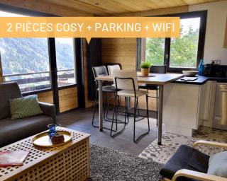 Bel appartement avec vue exceptionnelle - Le Grand-Bornand - 0