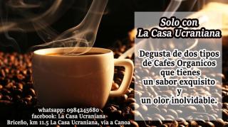 La Casa Ucraniana - 5