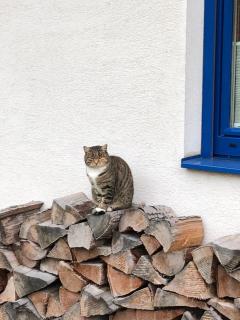 Haus Sonnenweg - Mariapfarr - 8
