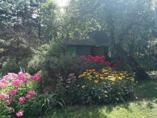 Dom pod strzecha - 1