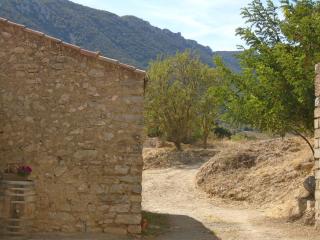 Chambre d'hôte - Cucugnan - 3