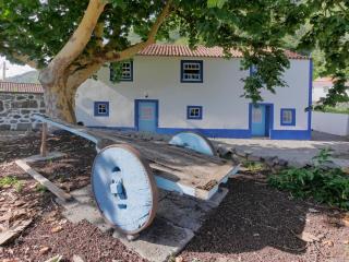 Casas Dos Vimes - Fajã dos Vimes - 8