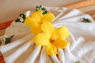 Bay Gardens Hotel - Gros Islet - 2