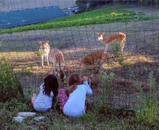 B&B Marcantonio Country House - Sogliano al Rubicone - 7