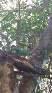 Hostel do Tucano - Rio de Janeiro - 9