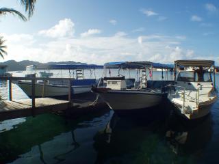 ANTELOPE GUESTHOUSE - Koror - 6