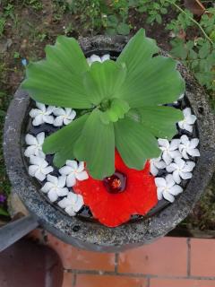 Hotel Thien Duong Xanh - 7