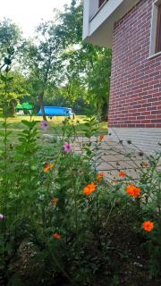 Villa Dream - Dobrevtsi - 8