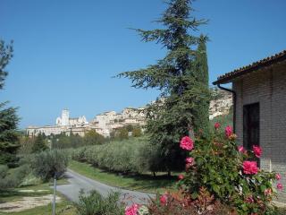 Casa per Ferie Ulivo d'Assisi - Asís - 9