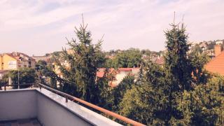 Carolina Apartman - 6